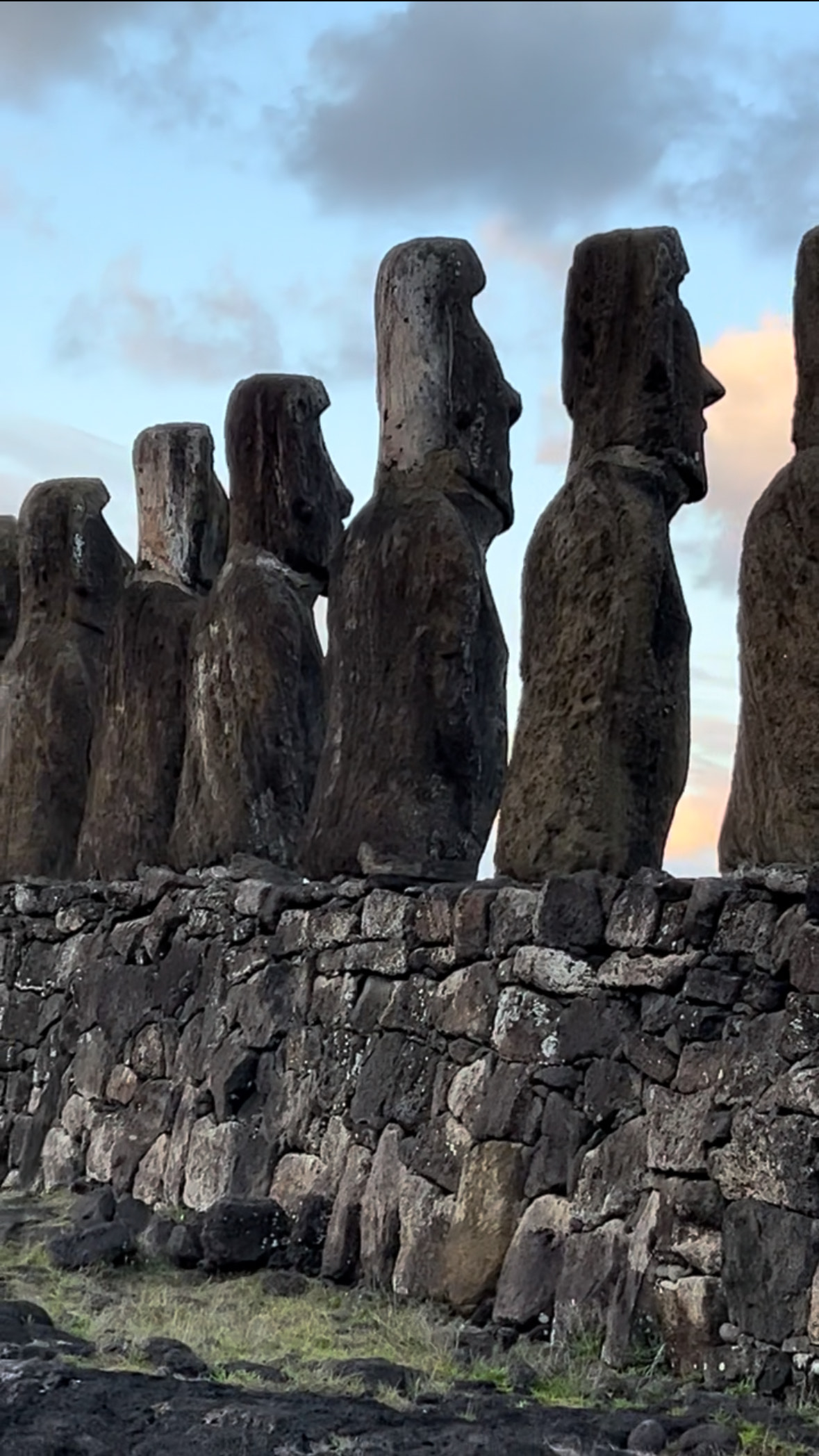 症例写真1